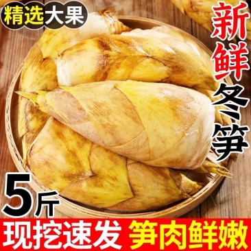 冬笋，新鲜现挖冬笋农家竹笋尺寸电商一件代产地源头春笋