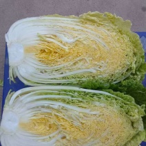 玲珑黄白菜