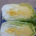 玲珑黄白菜