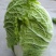 玲珑黄白菜