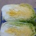 玲珑黄白菜