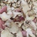 白芨片白芨干货云南白芨大货批发
