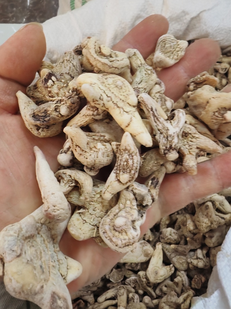 白芨片白芨干货云南白芨大货批发