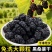 【精选】精品桑葚干大量供应产地直发一手货源干净