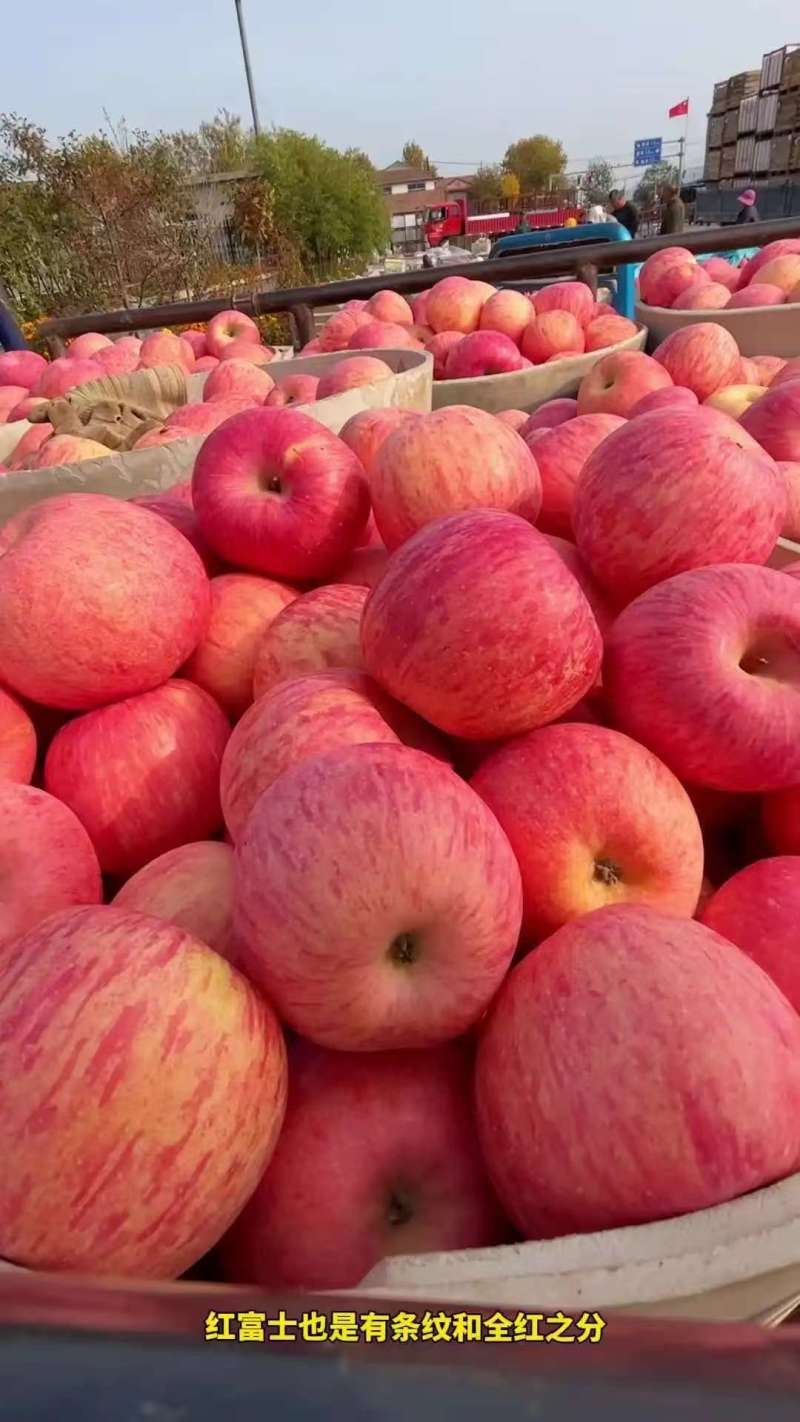 正宗山区红富士苹果，口感脆甜，颜色漂亮产地直发一手货源