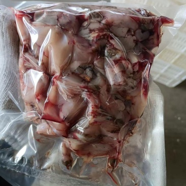 解活青蛙肉，肉质Q禅，以中蛙为主杀质而成，每天现杀现发