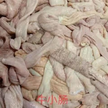 生牛小肠