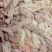 生牛小肠