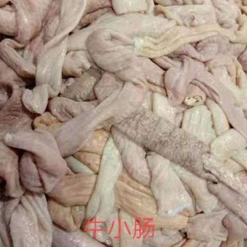 生牛小肠