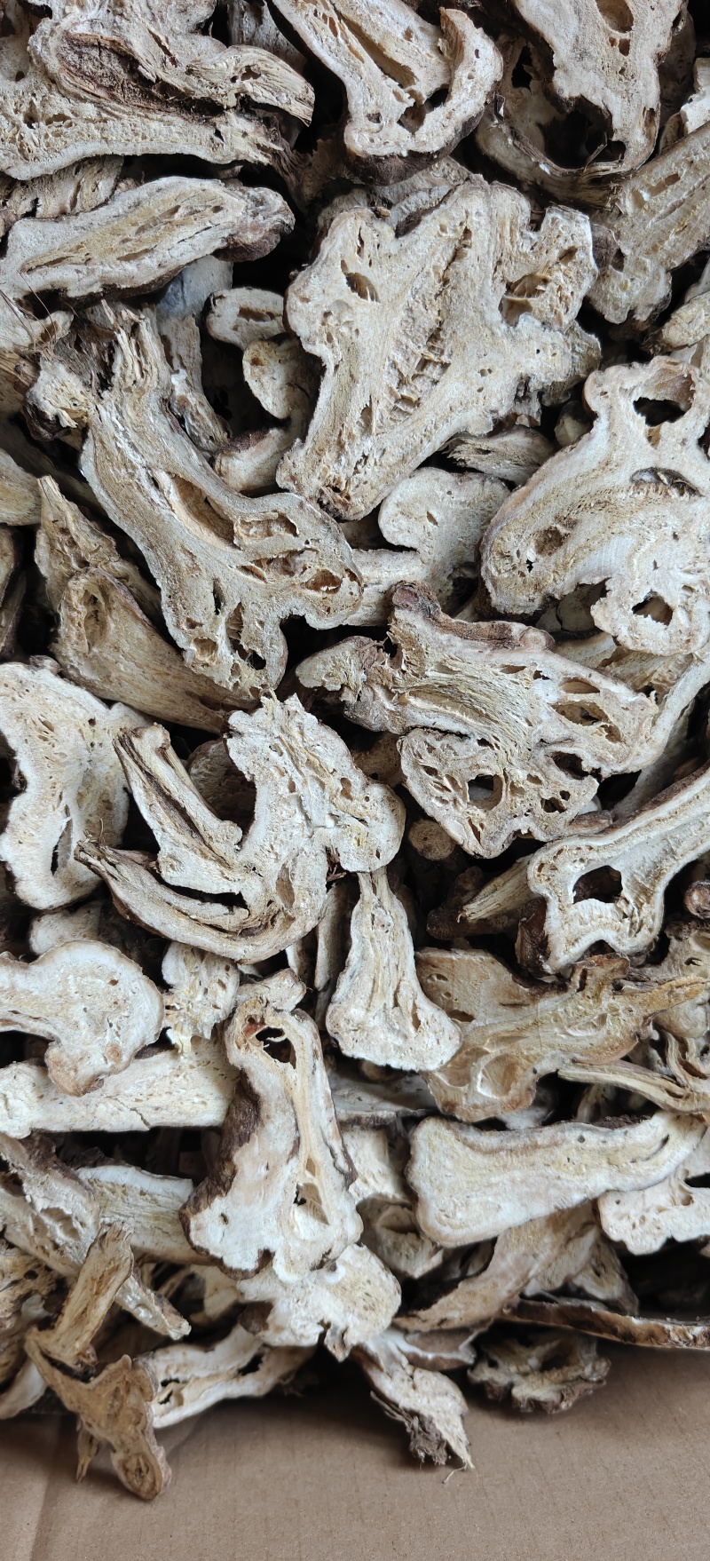 白术生浙白术大统，蜂窝明显，关书药业批发中药材