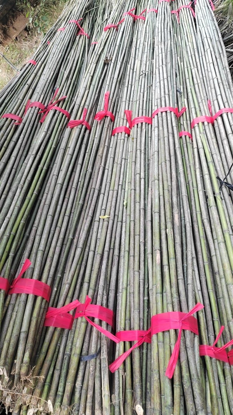 大量竹竿