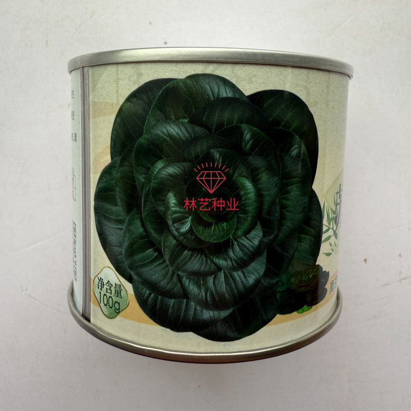 绿领苏冠552青梗菜种子矮脚塌地特矮青菜种子黑叶油菜