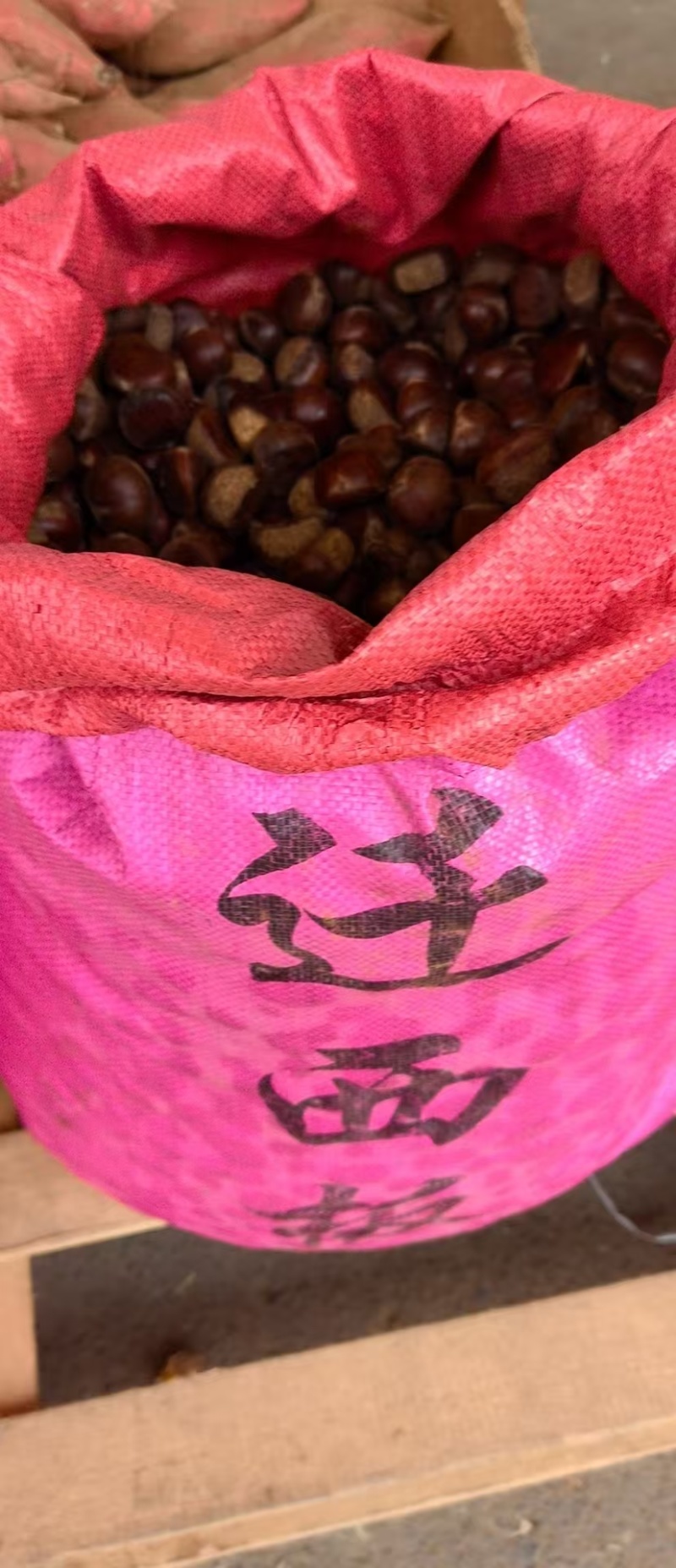 燕山板栗产地直供大量供应品质好价格低欢迎来电