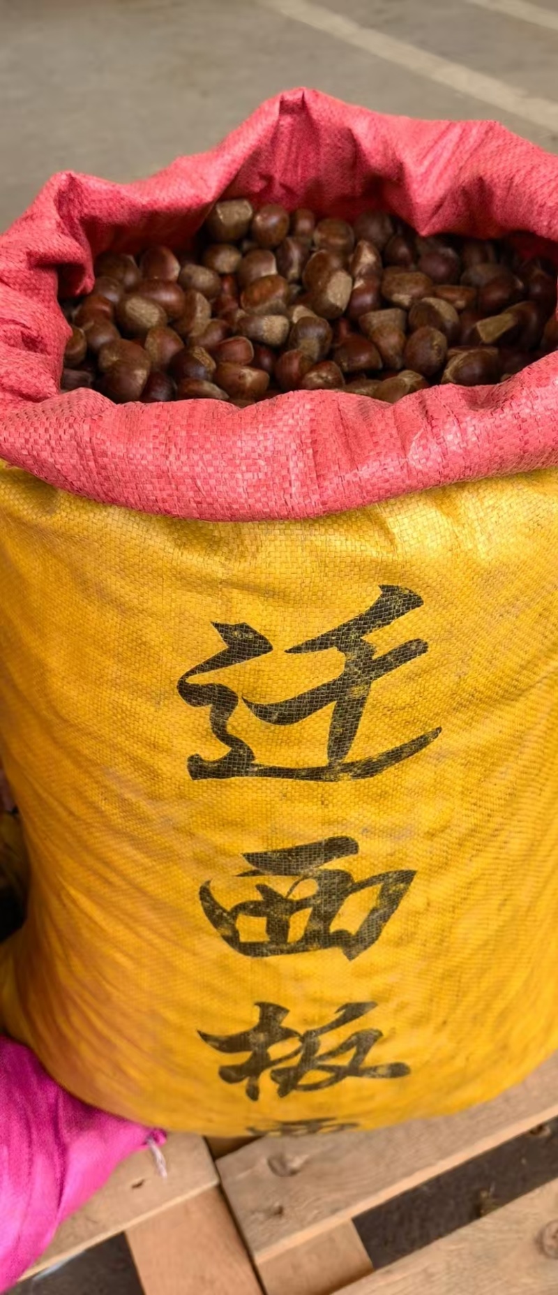 燕山板栗产地直供大量供应品质好价格低欢迎来电