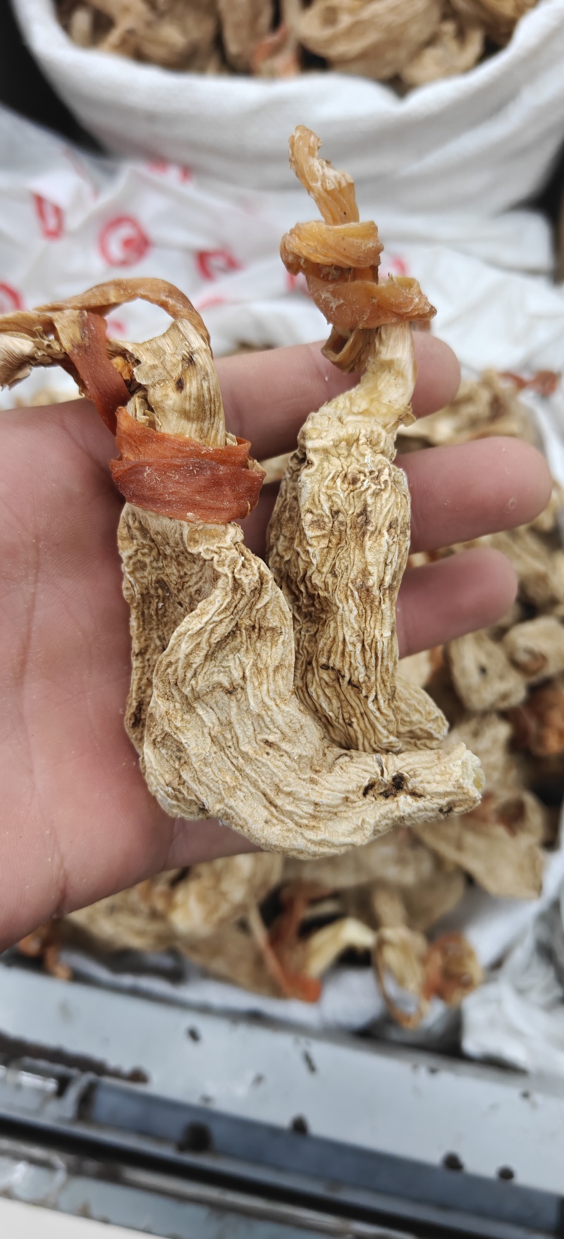 天麻选无硫天麻个子40支左右关书药业专注品质