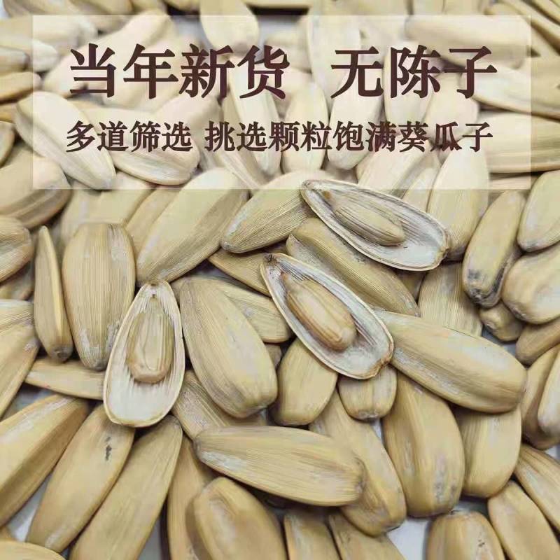 今日特价批发零售电商货脱皮瓜子，免费运营