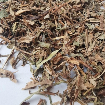 鸭跖草鸭止草鸭舌草鸭拓草保证正品不满意可退换货
