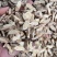 甘肃黄芪,新货黄芪片,瓜子片,无硫磺熏,品质好,口味浓