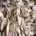 甘肃黄芪,新货黄芪片,瓜子片,无硫磺熏,品质好,口味浓