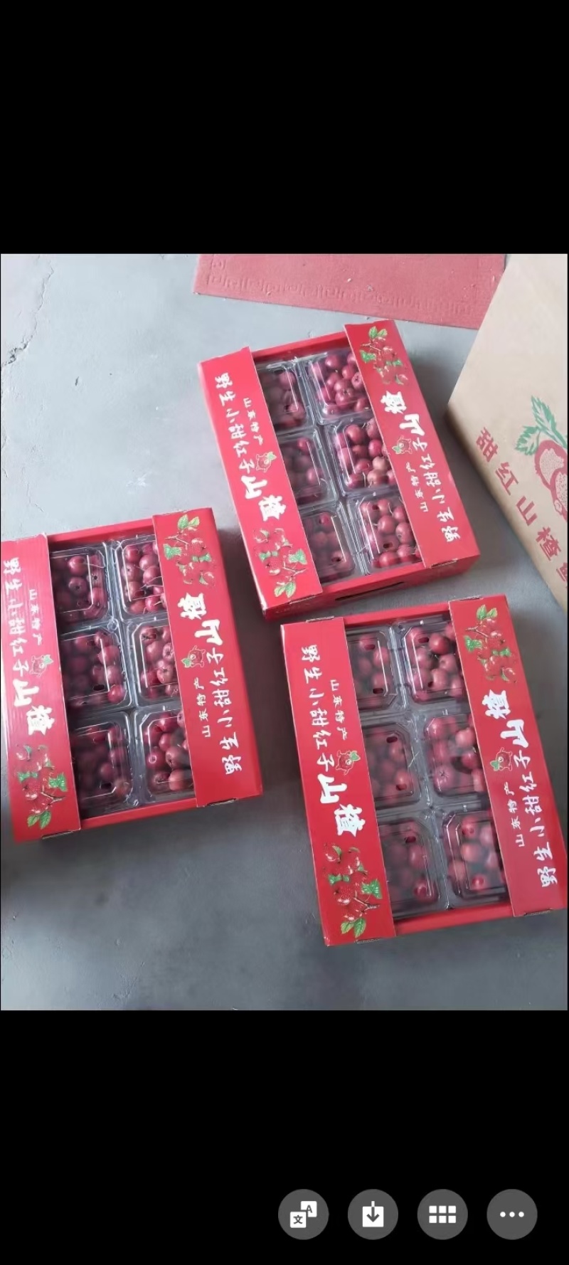 正宗产地南流泉甜红子山楂