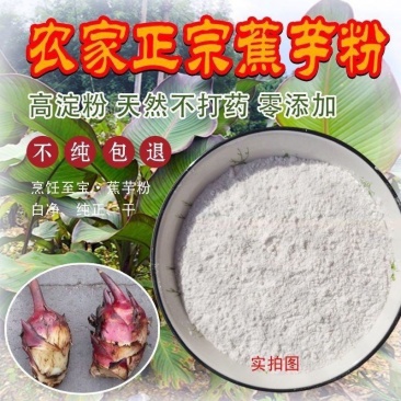 当季蕉芋儿芭蕉芋头粗粮块茎旱藕蕉芋粉