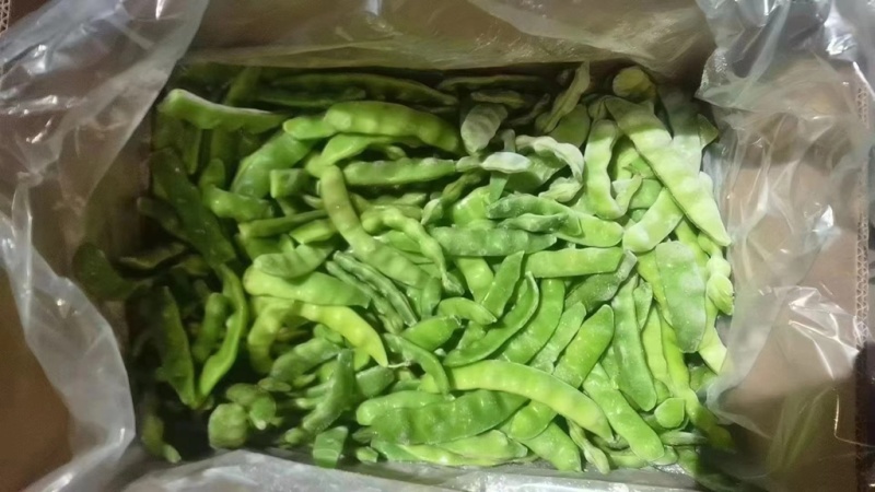 速冻油豆角保质保量对接全国市场量大从优欢迎咨询