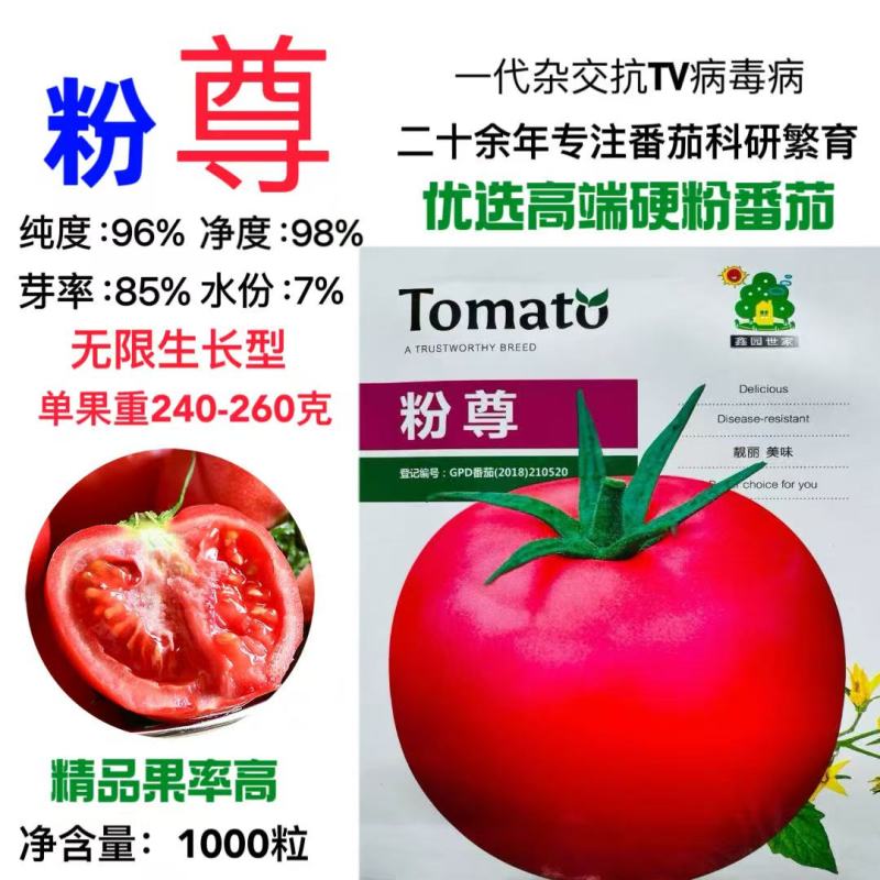 粉尊番茄种子硬粉大果西红柿种籽无限生长型抗病强春秋番茄种
