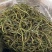 化石草精品小叶化石草小叶肾精茶各种规格大叶中叶
