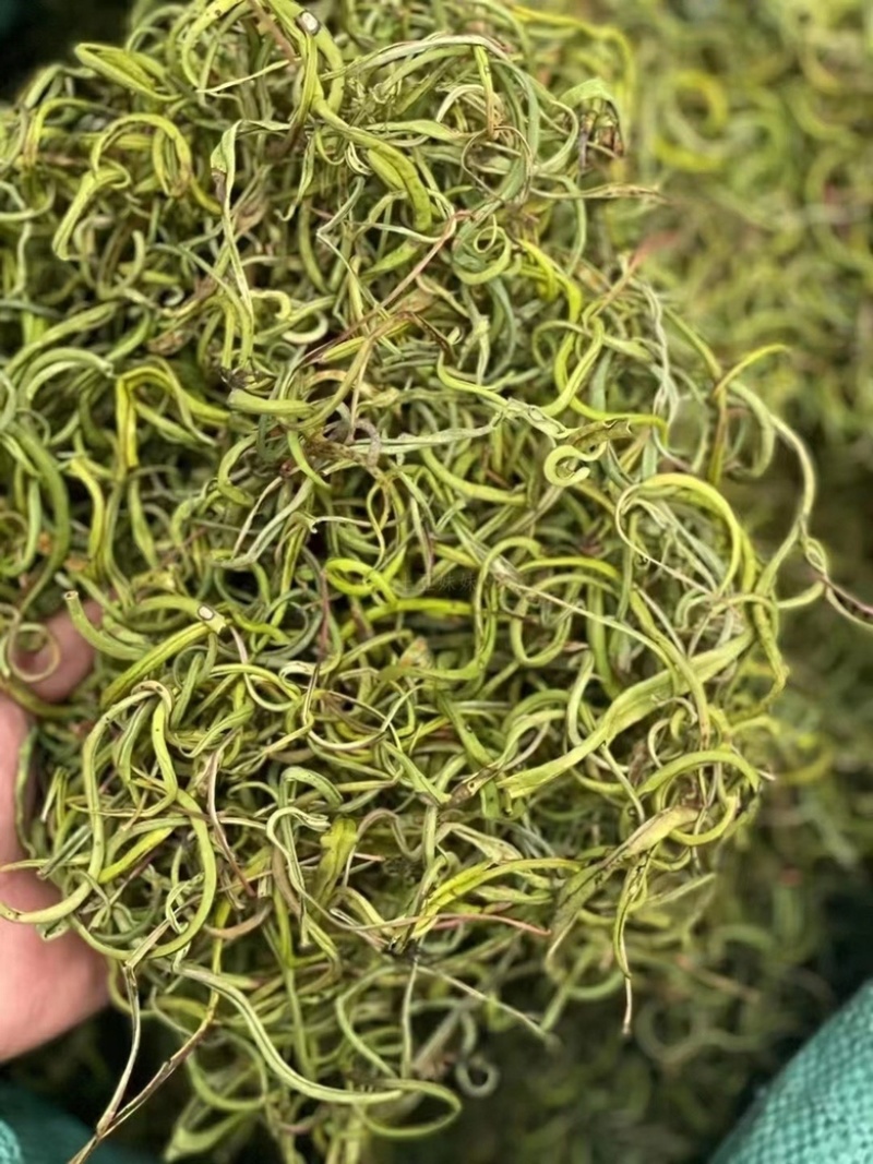 化石草精品小叶化石草小叶肾精茶各种规格大叶中叶