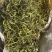 化石草精品小叶化石草小叶肾精茶各种规格大叶中叶