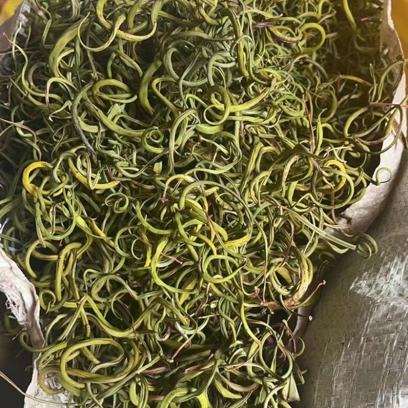 化石草精品小叶化石草小叶肾精茶各种规格大叶中叶