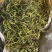 化石草精品小叶化石草小叶肾精茶各种规格大叶中叶
