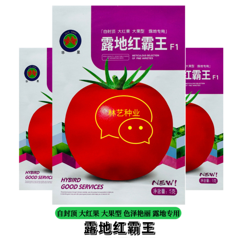 露地红霸王大红果西红柿种子早熟**番茄蔬菜种子高产