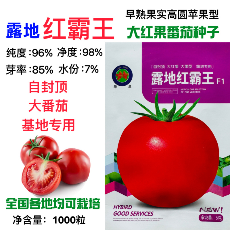 露地红霸王大红果西红柿种子早熟**番茄蔬菜种子高产