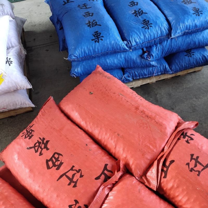 迁西板栗产地直供大量现货品质保证价格优惠欢迎来电