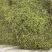 金银花优质五彩花山银花直条花各种规格中药材供应