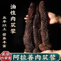 肉苁蓉油性软质肉苁蓉不加水不增重肉厚肉从容肉从茸