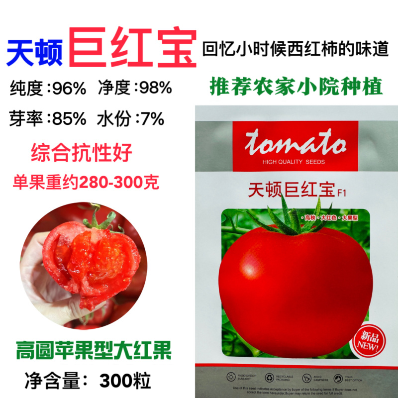 天顿巨红宝番茄种子大红果抗TV病毒西红柿种籽高产大棚种植
