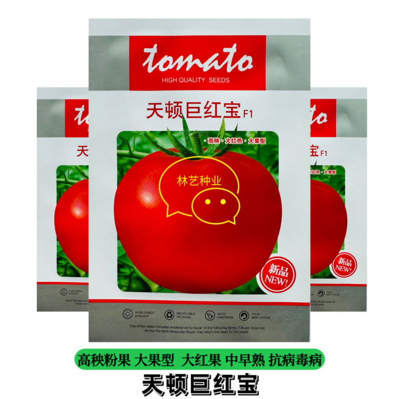 天顿巨红宝番茄种子大红果抗TV病毒西红柿种籽高产大棚种植