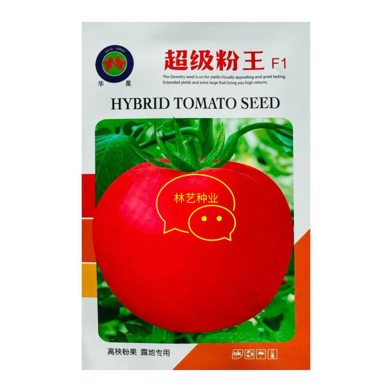 华星超级粉王西红柿种子特大果粉果番茄种籽中早熟厚皮硬果