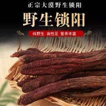 锁阳内蒙古金锁阳批发锁阳个锁阳切片各种规格