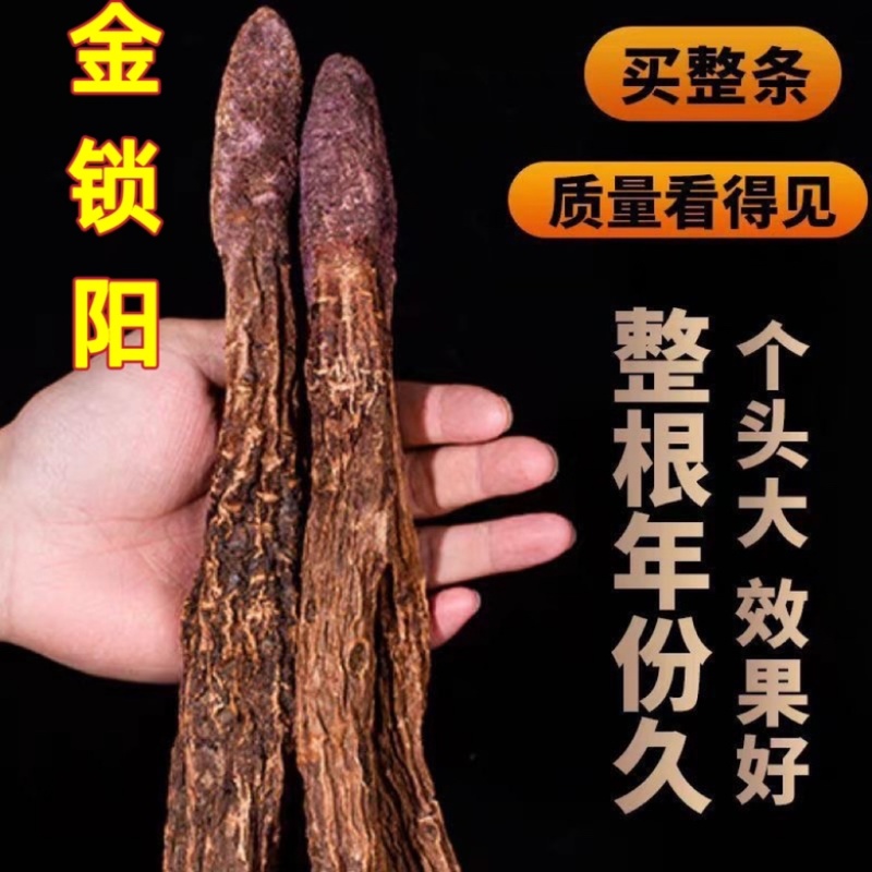 锁阳内蒙古金锁阳批发锁阳个锁阳切片各种规格