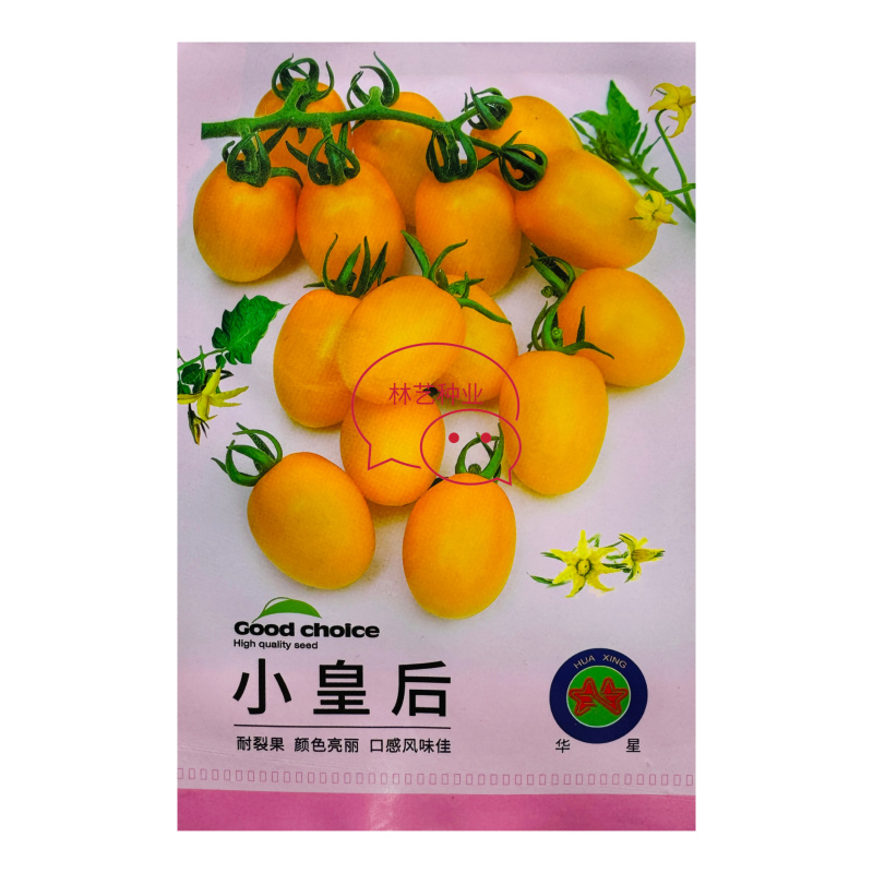 小皇后樱桃番茄种子口感好亮丽高糖高产抗病基地大田农家冬春