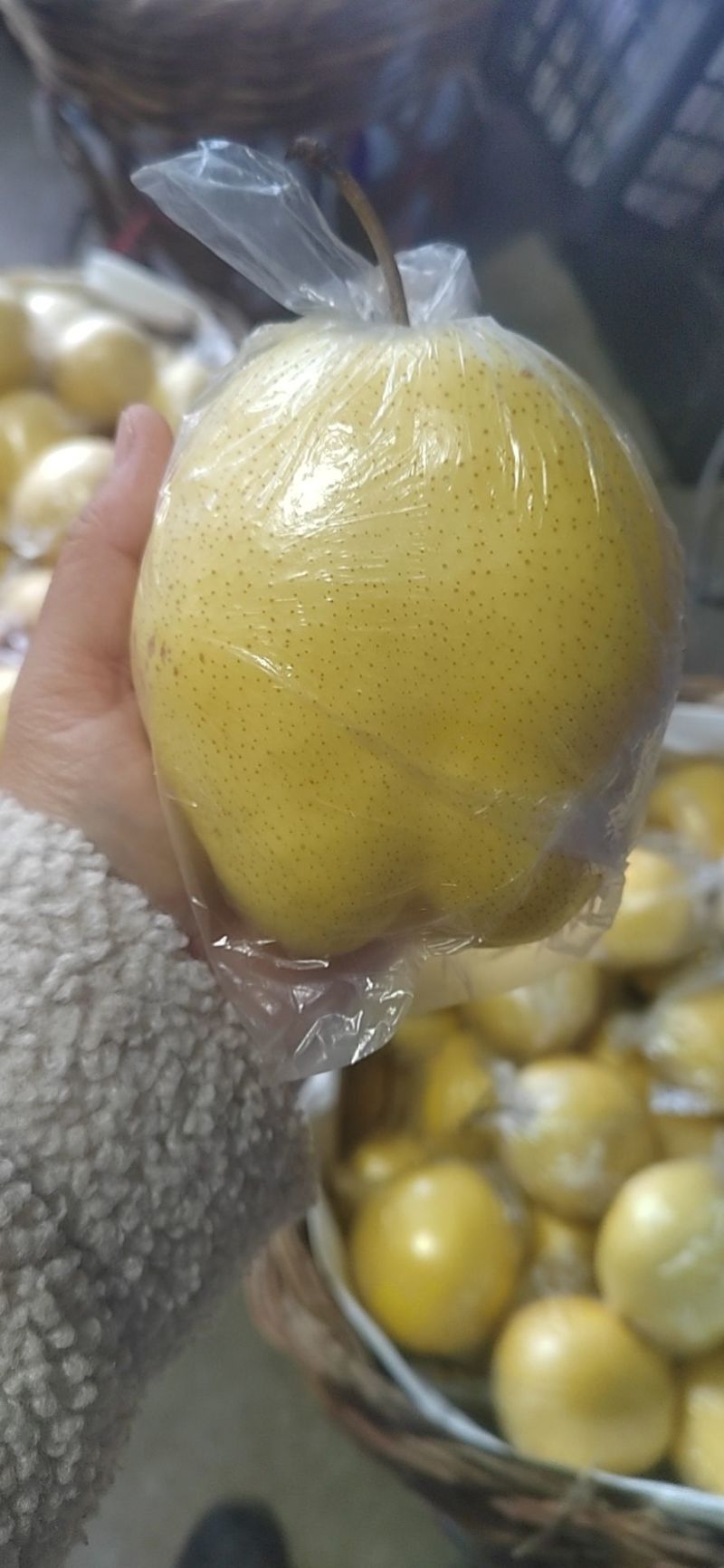 雪花梨