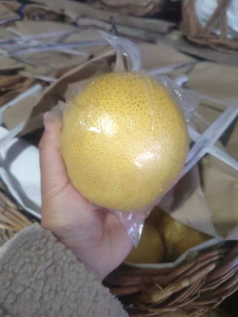 雪花梨