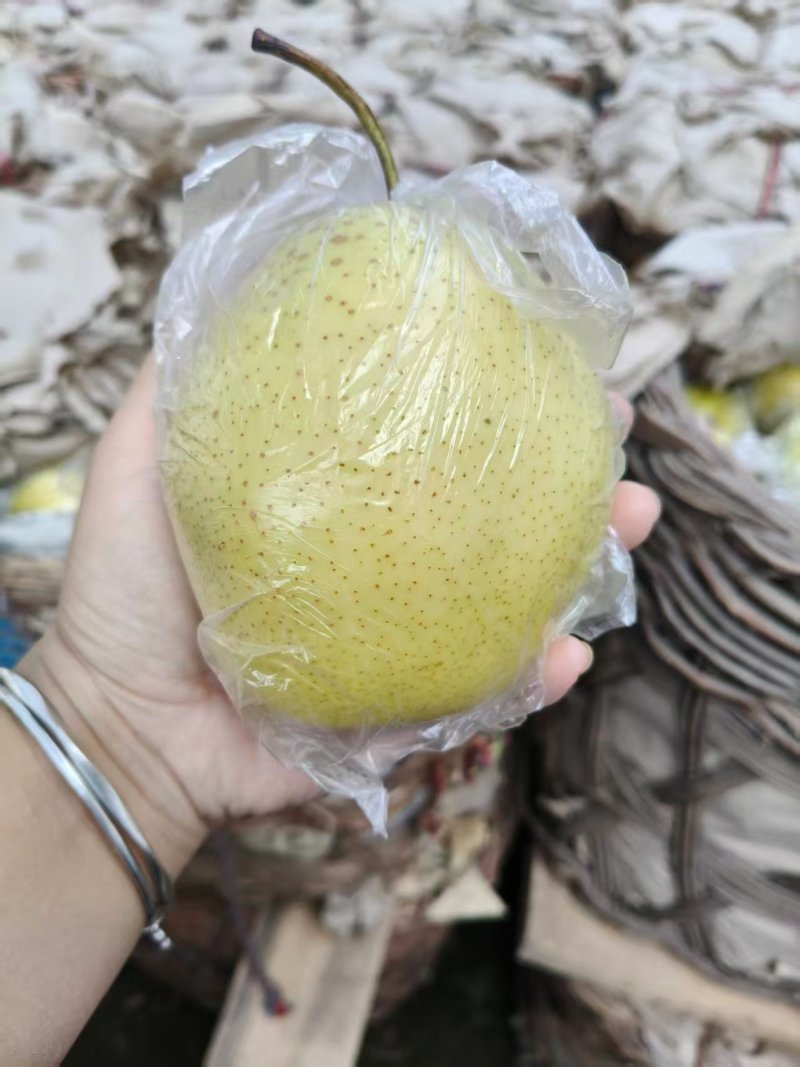 雪花梨