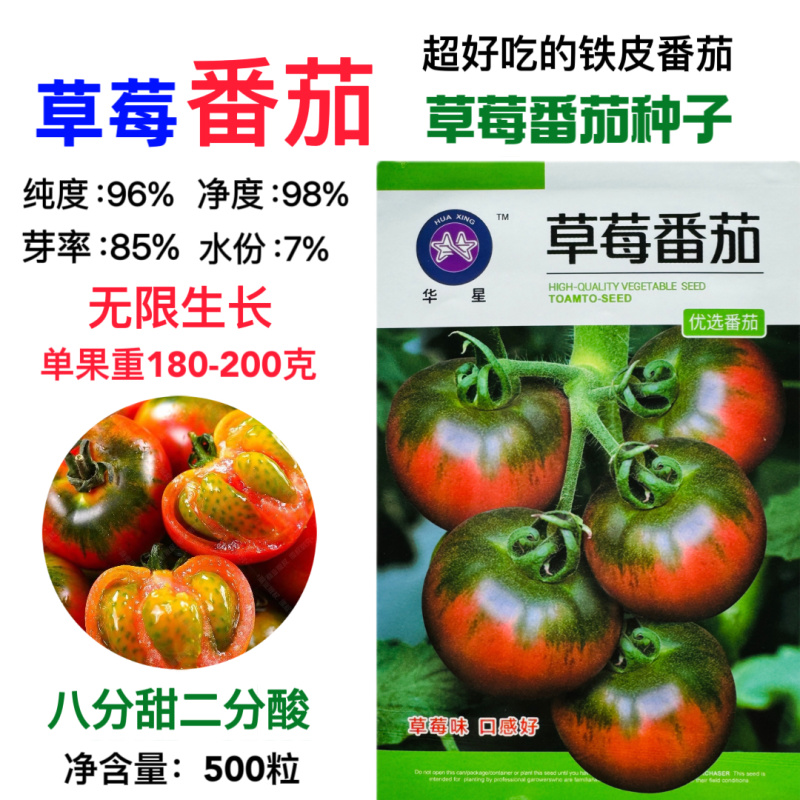 草莓番茄种子铁皮柿子水果番茄种子带绿肩脆甜无渣早熟西红柿