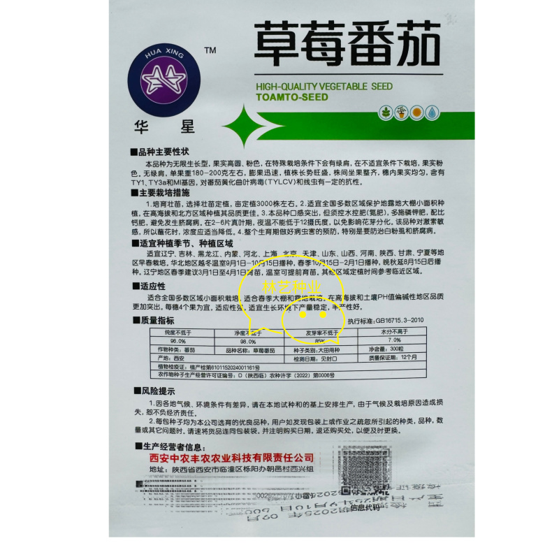 草莓番茄种子铁皮柿子水果番茄种子带绿肩脆甜无渣早熟西红柿