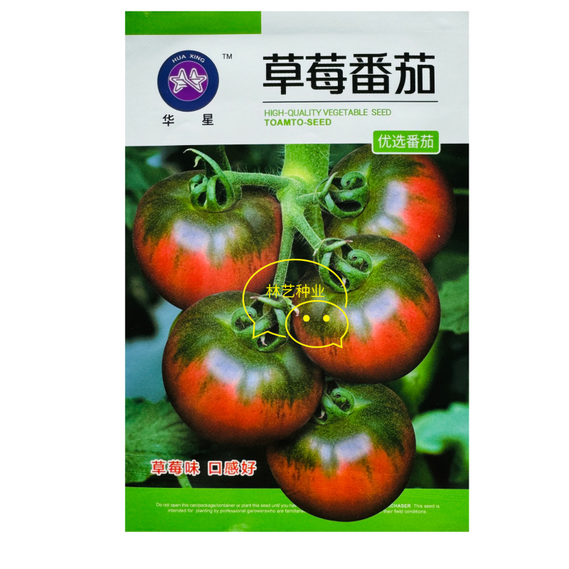 草莓番茄种子铁皮柿子水果番茄种子带绿肩脆甜无渣早熟西红柿