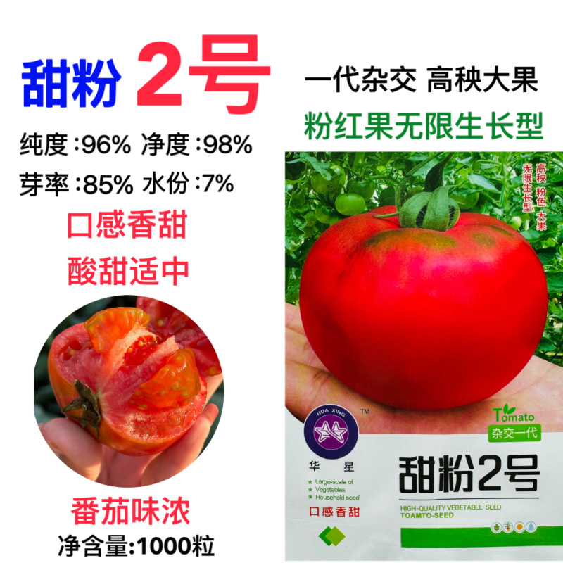 甜粉2号水果番茄种子超甜西红柿种籽正宗大果粉红番茄